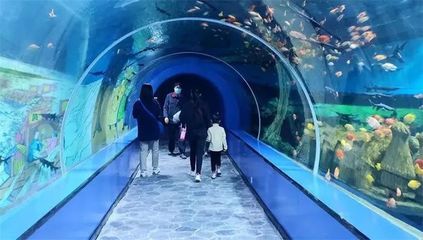 许昌水族馆vs祥龙鱼场（许昌水族馆与祥龙鱼场各有侧重） 全国水族馆企业名录 第4张