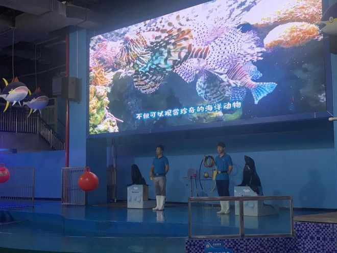 许昌水族馆vs祥龙鱼场（许昌水族馆与祥龙鱼场各有侧重） 全国水族馆企业名录 第5张