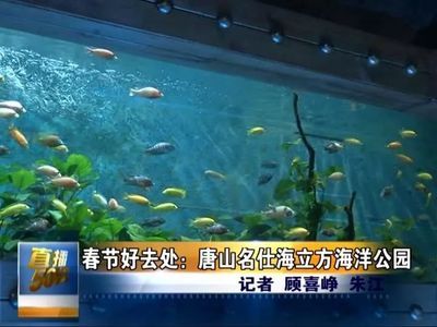 唐山水族馆vs祥龙鱼场（唐山水族馆和祥龙鱼场哪个好） 全国水族馆企业名录 第3张