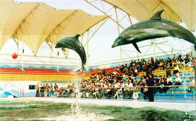 唐山水族馆vs祥龙鱼场（唐山水族馆和祥龙鱼场哪个好） 全国水族馆企业名录 第4张