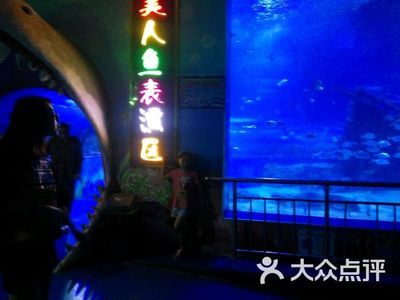 保定水族馆vs祥龙鱼场（保定水族馆位于河北省保定市提供观赏鱼的零售服务） 全国水族馆企业名录 第4张