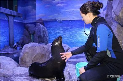 文山壮族苗族自治州水族馆vs祥龙鱼场（文山壮族苗族自治州水族馆与祥龙鱼场各有特点） 全国水族馆企业名录 第3张