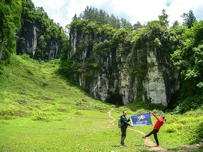 到位（到位,啊哦咿呜评论不错） 观赏鱼论坛 第3张