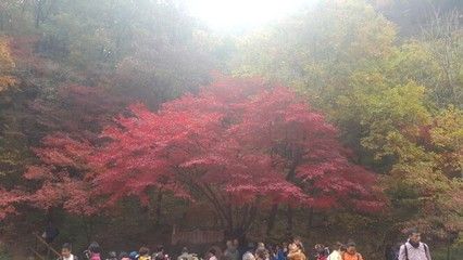 本溪水族馆vs祥龙鱼场（本溪水族馆和祥龙鱼场哪个好？） 全国水族馆企业名录 第4张