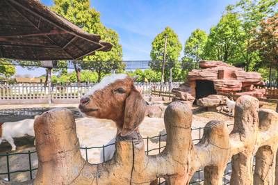 池州水族馆vs祥龙鱼场（探讨池州水族馆与祥龙鱼场之间的差异之前需要明确基本信息） 全国水族馆企业名录 第5张