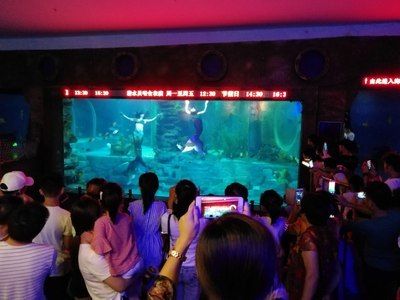 无锡水族馆vs祥龙鱼场（无锡水族馆与祥龙鱼场之间的差异之前，我们需要明确两者的基本信息和特点） 全国水族馆企业名录 第2张