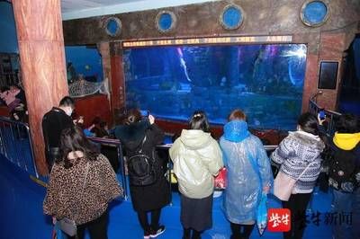 无锡水族馆vs祥龙鱼场（无锡水族馆与祥龙鱼场之间的差异之前，我们需要明确两者的基本信息和特点） 全国水族馆企业名录 第3张