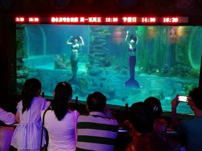 无锡水族馆vs祥龙鱼场（无锡水族馆与祥龙鱼场之间的差异之前，我们需要明确两者的基本信息和特点） 全国水族馆企业名录 第5张