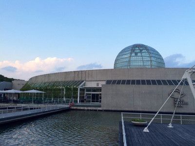 滁州水族馆vs祥龙鱼场（滇池水族馆和祥龙鱼场各有其特点） 全国水族馆企业名录 第3张