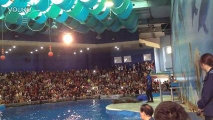 南京水族馆vs祥龙鱼场（南京水族馆和祥龙鱼场各有什么区别？） 全国水族馆企业名录 第2张