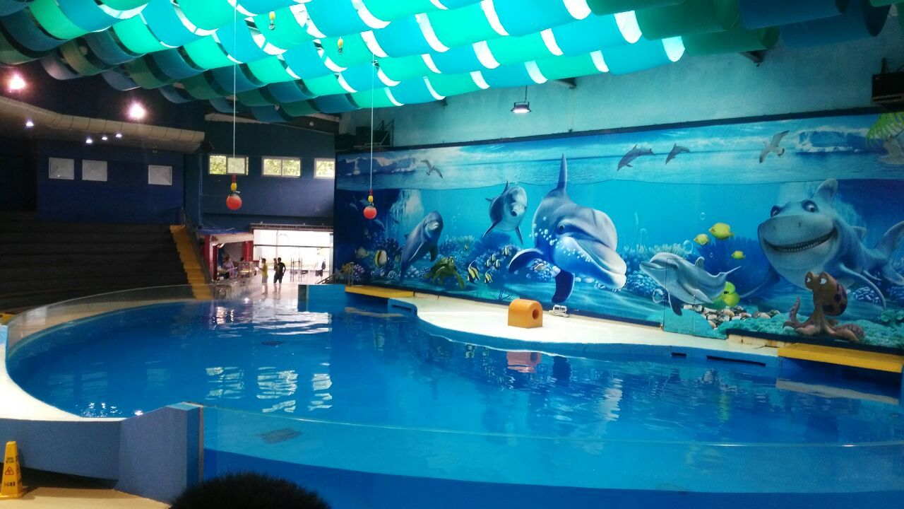 南京水族馆vs祥龙鱼场（南京水族馆和祥龙鱼场各有什么区别？） 全国水族馆企业名录 第4张