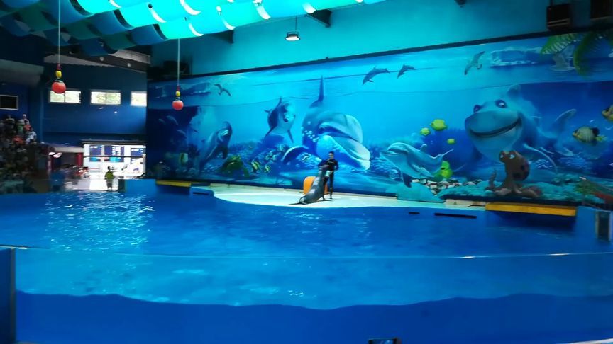 南京水族馆vs祥龙鱼场（南京水族馆和祥龙鱼场各有什么区别？） 全国水族馆企业名录 第3张