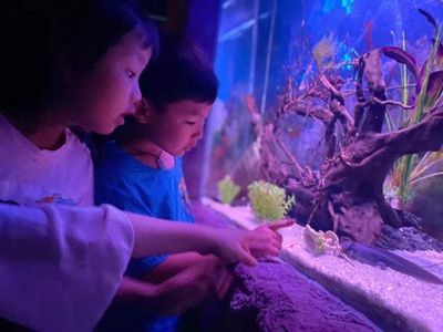 眉山水族馆vs祥龙鱼场（探讨眉山水族馆与祥龙鱼场之间的差异之前需要明确两者的基本信息） 全国水族馆企业名录 第2张