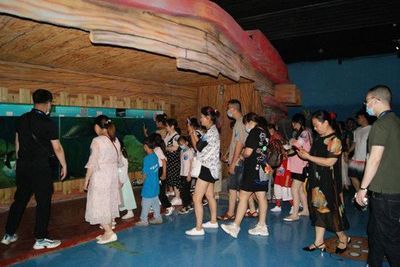 眉山水族馆vs祥龙鱼场（探讨眉山水族馆与祥龙鱼场之间的差异之前需要明确两者的基本信息） 全国水族馆企业名录 第5张