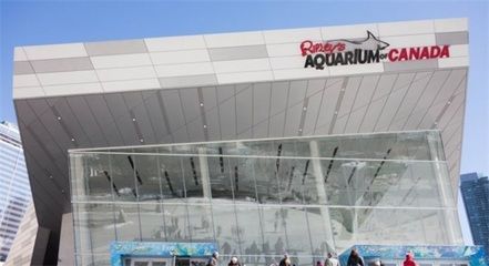 广州水族馆vs祥龙鱼场（广州水族馆与祥龙鱼场有什么区别？） 全国水族馆企业名录 第3张