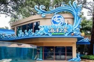 广州水族馆vs祥龙鱼场（广州水族馆与祥龙鱼场有什么区别？） 全国水族馆企业名录 第5张