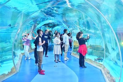 普洱水族馆vs祥龙鱼场（普洱水族馆与祥龙鱼场各有特色） 全国水族馆企业名录 第1张