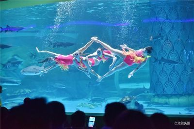 普洱水族馆vs祥龙鱼场（普洱水族馆与祥龙鱼场各有特色） 全国水族馆企业名录 第2张