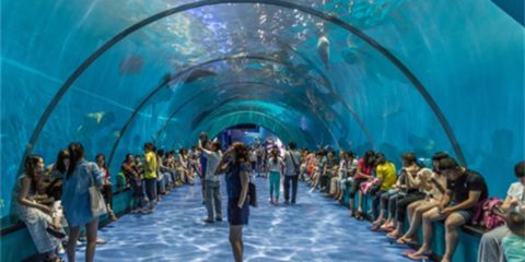 石家庄水族馆vs祥龙鱼场（石家庄水族馆与祥龙鱼场各有其特色和侧重点） 全国水族馆企业名录 第2张