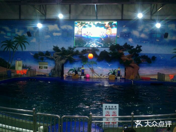 石家庄水族馆vs祥龙鱼场（石家庄水族馆与祥龙鱼场各有其特色和侧重点） 全国水族馆企业名录 第1张