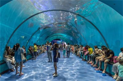 石家庄水族馆vs祥龙鱼场（石家庄水族馆与祥龙鱼场各有其特色和侧重点） 全国水族馆企业名录 第3张