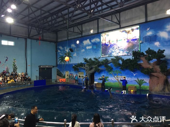 石家庄水族馆vs祥龙鱼场（石家庄水族馆与祥龙鱼场各有其特色和侧重点） 全国水族馆企业名录 第5张