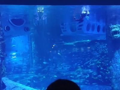 襄樊水族馆vs祥龙鱼场（探讨襄樊水族馆与祥龙鱼场之间的差异之前需要明确两者的基本信息） 全国水族馆企业名录 第2张