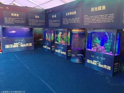 长治水族馆vs祥龙鱼场（探讨长治水族馆与祥龙鱼场之间的差异之前需要明确两者的基本信息） 全国水族馆企业名录 第4张