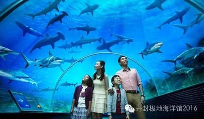 孝感水族馆vs祥龙鱼场（孝感水族馆和祥龙鱼场各有特点，选择哪一个取决于您的兴趣和需求） 全国水族馆企业名录 第2张