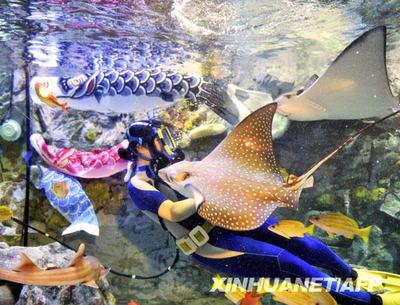 孝感水族馆vs祥龙鱼场（孝感水族馆和祥龙鱼场各有特点，选择哪一个取决于您的兴趣和需求） 全国水族馆企业名录 第1张