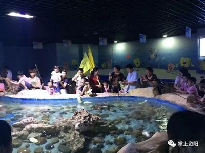 资阳水族馆vs祥龙鱼场（资阳市雁江区有两个知名的水族馆） 全国水族馆企业名录 第3张