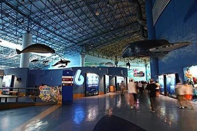 吉林水族馆vs祥龙鱼场（吉林水族馆与祥龙鱼场有什么区别？） 全国水族馆企业名录 第1张