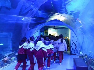 吉林水族馆vs祥龙鱼场（吉林水族馆与祥龙鱼场有什么区别？） 全国水族馆企业名录 第5张