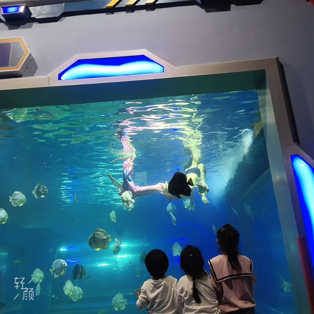 湘潭水族馆vs祥龙鱼场（探讨湘潭水族馆与祥龙鱼场之间的差异时需要明确两者的主要业务和特点） 全国水族馆企业名录 第3张