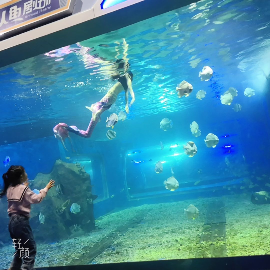 湘潭水族馆vs祥龙鱼场（探讨湘潭水族馆与祥龙鱼场之间的差异时需要明确两者的主要业务和特点） 全国水族馆企业名录 第4张