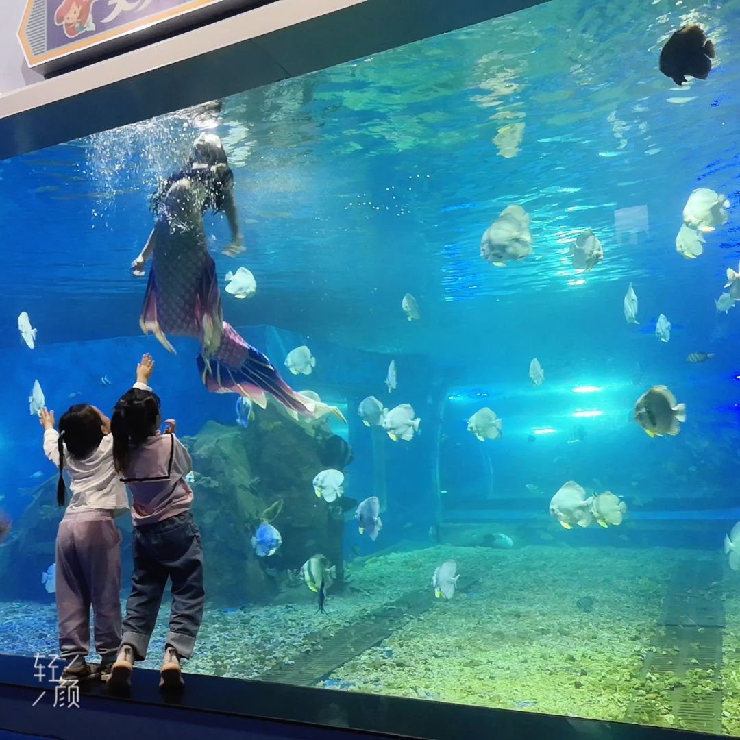 湘潭水族馆vs祥龙鱼场（探讨湘潭水族馆与祥龙鱼场之间的差异时需要明确两者的主要业务和特点） 全国水族馆企业名录 第5张