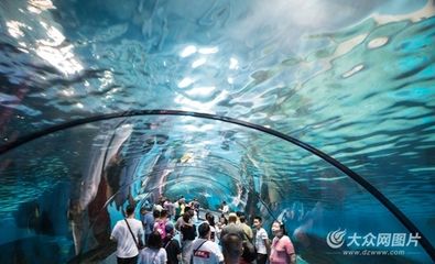 济南水族馆vs祥龙鱼场（探讨济南水族馆与祥龙鱼场之间的差异，我们需要明确两者的基本信息） 全国水族馆企业名录 第1张