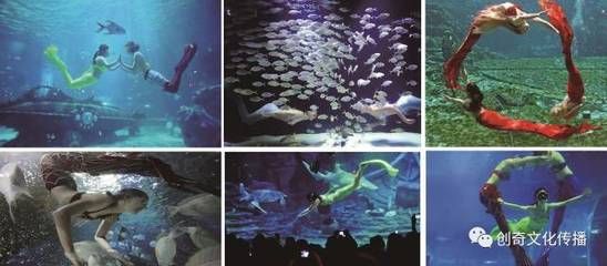 随州水族馆vs祥龙鱼场（探讨随州水族馆与祥龙鱼场之间的差异之前我们需要明确两者的基本信息和特点） 全国水族馆企业名录 第1张