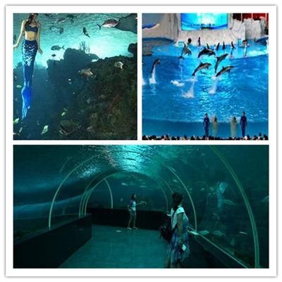 连云港水族馆vs祥龙鱼场（探讨连云港水族馆与祥龙鱼场之间的差异之前需要明确两者的基本信息和特点） 全国水族馆企业名录 第2张