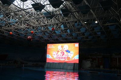 连云港水族馆vs祥龙鱼场（探讨连云港水族馆与祥龙鱼场之间的差异之前需要明确两者的基本信息和特点） 全国水族馆企业名录 第5张