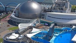 秦皇岛水族馆vs祥龙鱼场（秦皇岛水族馆与祥龙鱼场的区别） 全国水族馆企业名录 第2张