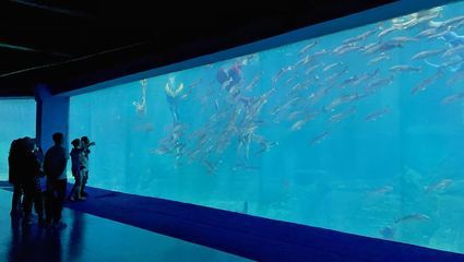 秦皇岛水族馆vs祥龙鱼场（秦皇岛水族馆与祥龙鱼场的区别） 全国水族馆企业名录 第4张