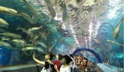 秦皇岛水族馆vs祥龙鱼场（秦皇岛水族馆与祥龙鱼场的区别） 全国水族馆企业名录 第3张