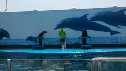 秦皇岛水族馆vs祥龙鱼场（秦皇岛水族馆与祥龙鱼场的区别） 全国水族馆企业名录 第5张