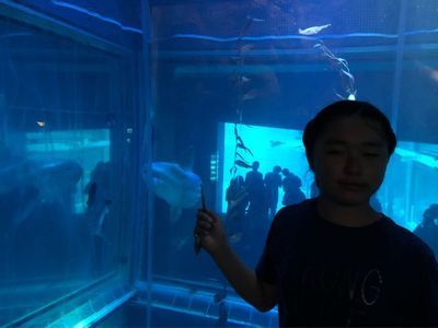 保山水族馆vs祥龙鱼场（保山水族馆和祥龙鱼场各有其特点和优势） 全国水族馆企业名录 第2张