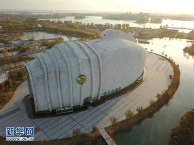 宿迁水族馆vs祥龙鱼场（宿迁水族馆和祥龙鱼场哪个好） 全国水族馆企业名录 第5张