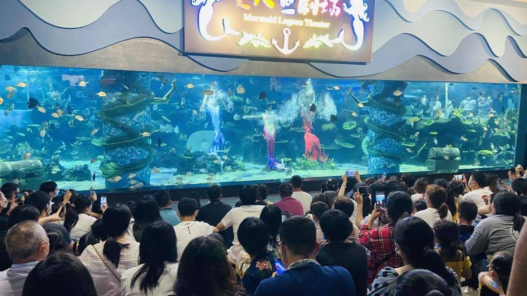 周口水族馆vs祥龙鱼场（周口水族馆和祥龙鱼场） 全国水族馆企业名录 第1张