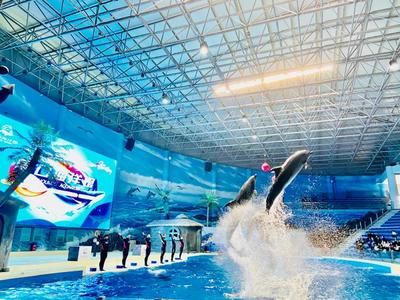 周口水族馆vs祥龙鱼场（周口水族馆和祥龙鱼场） 全国水族馆企业名录 第4张