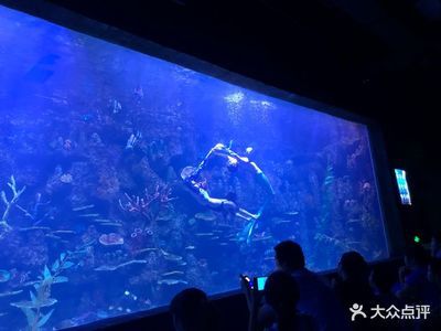 温州水族馆vs祥龙鱼场（探讨温州水族馆与祥龙鱼场之间的差异之前，我们需要明确基本信息） 全国水族馆企业名录 第3张