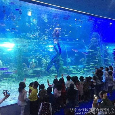 济宁水族馆vs祥龙鱼场（探讨济宁水族馆与祥龙鱼场之间的差异之前需要明确两者的基本信息） 全国水族馆企业名录 第3张